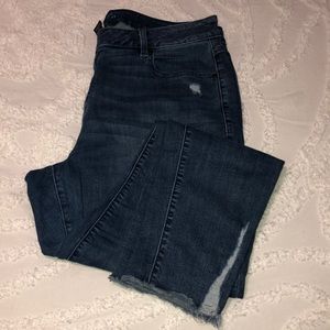 Lane Bryant Denim